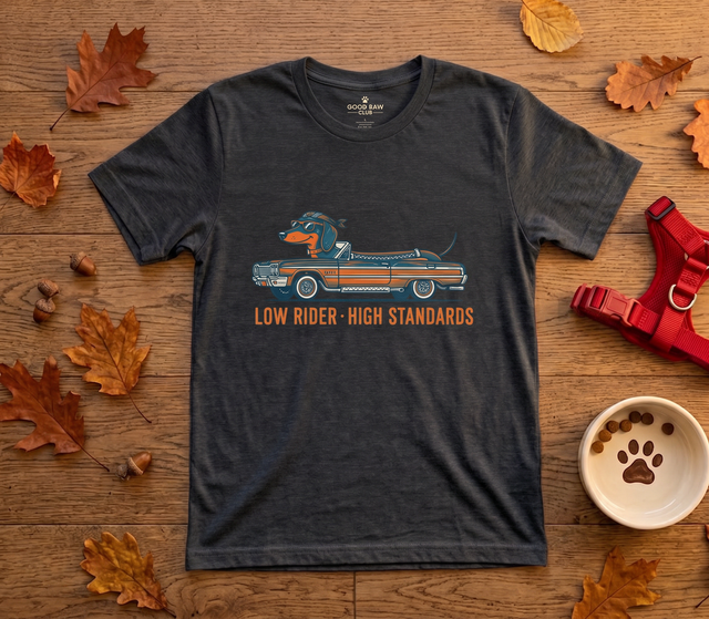 Low Rider, High Standards — Retro Dachshund Car Tee